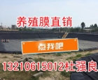ɽ�|ź�ط��B������ ���a(ch��n)�N�ۏS�� �r�񹫵� ź���ַQɏź����˯ɏ��ֲ�ɏ�ĸ��o���� ...