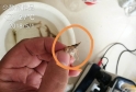 �װ߲������ھ����؁���������r�Bֳ�΄ݲ��ݘ��^