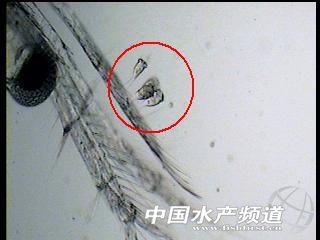 �DƬ79.jpg