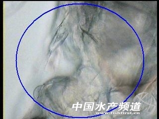 �DƬ112.jpg
