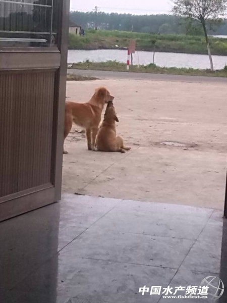 �҂��ͱ���һ��������