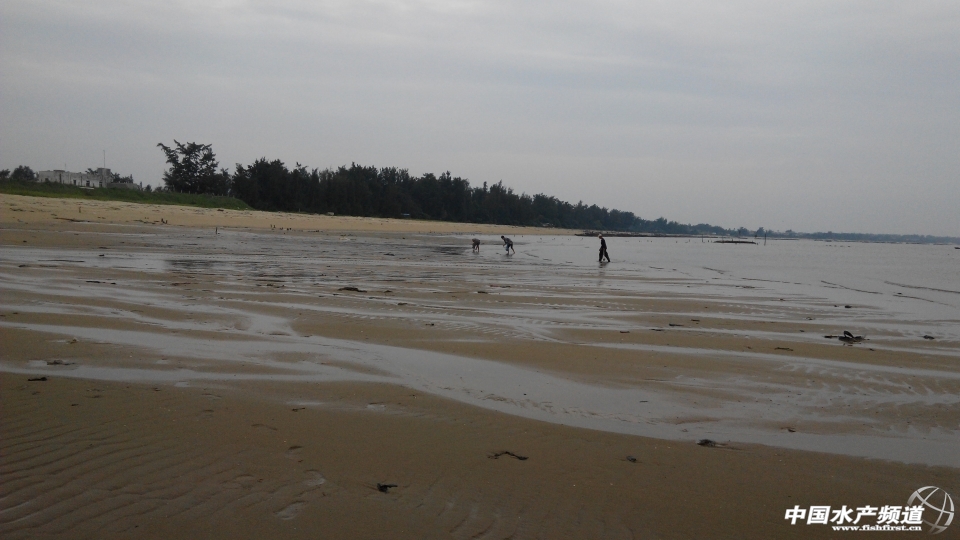 IMG_20130929_174240.jpg