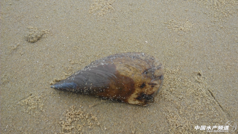 IMG_20131001_100442.jpg