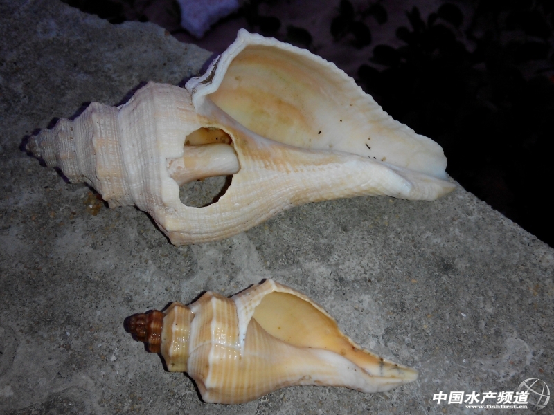 IMG_20131013_182508.jpg