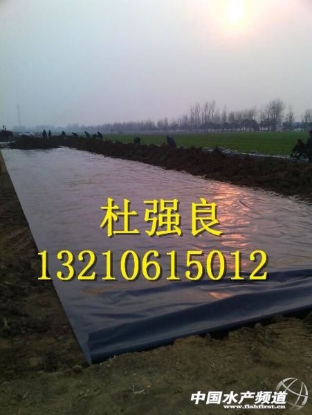 QQ�DƬ20150129080451.jpg