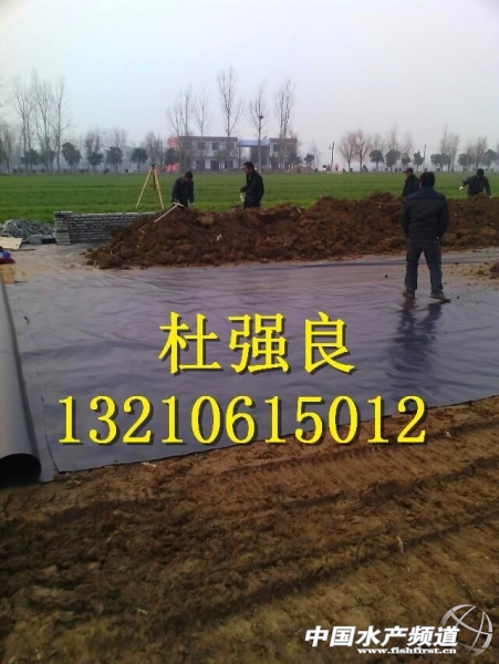 QQ�DƬ20150129080417.jpg