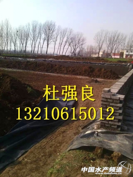 QQ�DƬ20150129080135.jpg