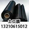 604385s - ���� - ���� - ����.jpg