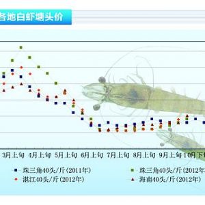 ���r���p��̧���r�r �����r�������߷塪����ˮ�aǰ�ء�2012��11�¿��Ј�څ��