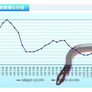 �S�X������(ji��)������S�X�r����� ����һ�����������١���ˮ�a(ch��n)ǰ�ء�2013��3�¿��Ј�څ��