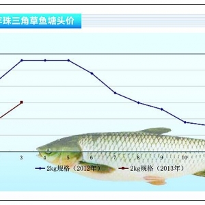 ���~(y��)�����~(y��)�^�� �~(y��)�r(ji��)��ƽ����ˮ�a(ch��n)ǰ�ء�2013��4�¿��Ј�(ch��ng)څ��(sh��)