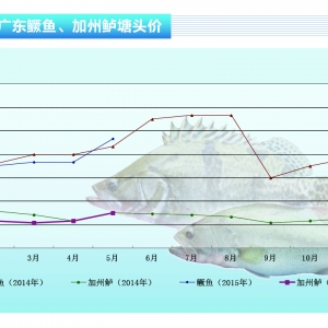 �Z�~�r(ji��)�񣺺��з�(w��n)�п��q������ˮ�a(ch��n)ǰ�ء�2015��6�¿��Ј�(ch��ng)څ��(sh��)