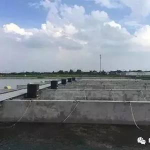 ��������������W��+����Bֳ�Z�~