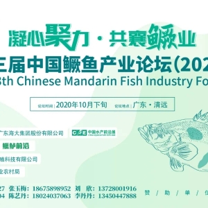 ���v2020��vʷ���䡰������֮���ҿ��Z�~�a�I������O�ɵ����DΣ��C��