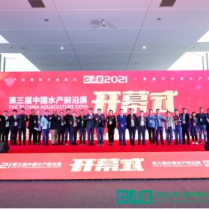 CAE 2021�_Ļʽ|���������Ƅӂ��y��Ӌ�O�I��F�����B�O�I�D׃