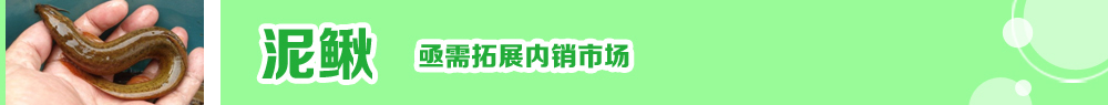 2014ˮ�a(ch��n)�N�紺��ُ�Nָ��