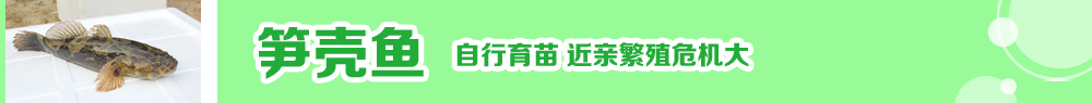 2014ˮ�a(ch��n)�N�紺��ُ�Nָ��