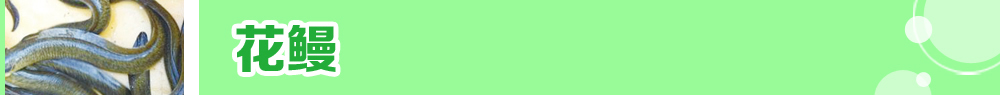 2015ˮ�a�N�紺��ُ�Nָ��